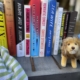 photo of books we recommend with small lion mascot.